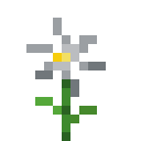 Light Gray Mystical Flower