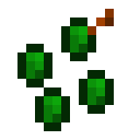 Creeper-Samen