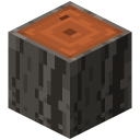Akazienstamm