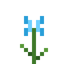 Blaue Orchidee
