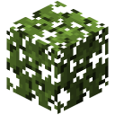 Mangrovenlaub