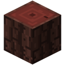 Mangrovenstamm