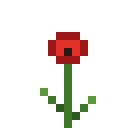 Poppy